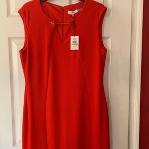 NWT Calvin Klein Dress 14
